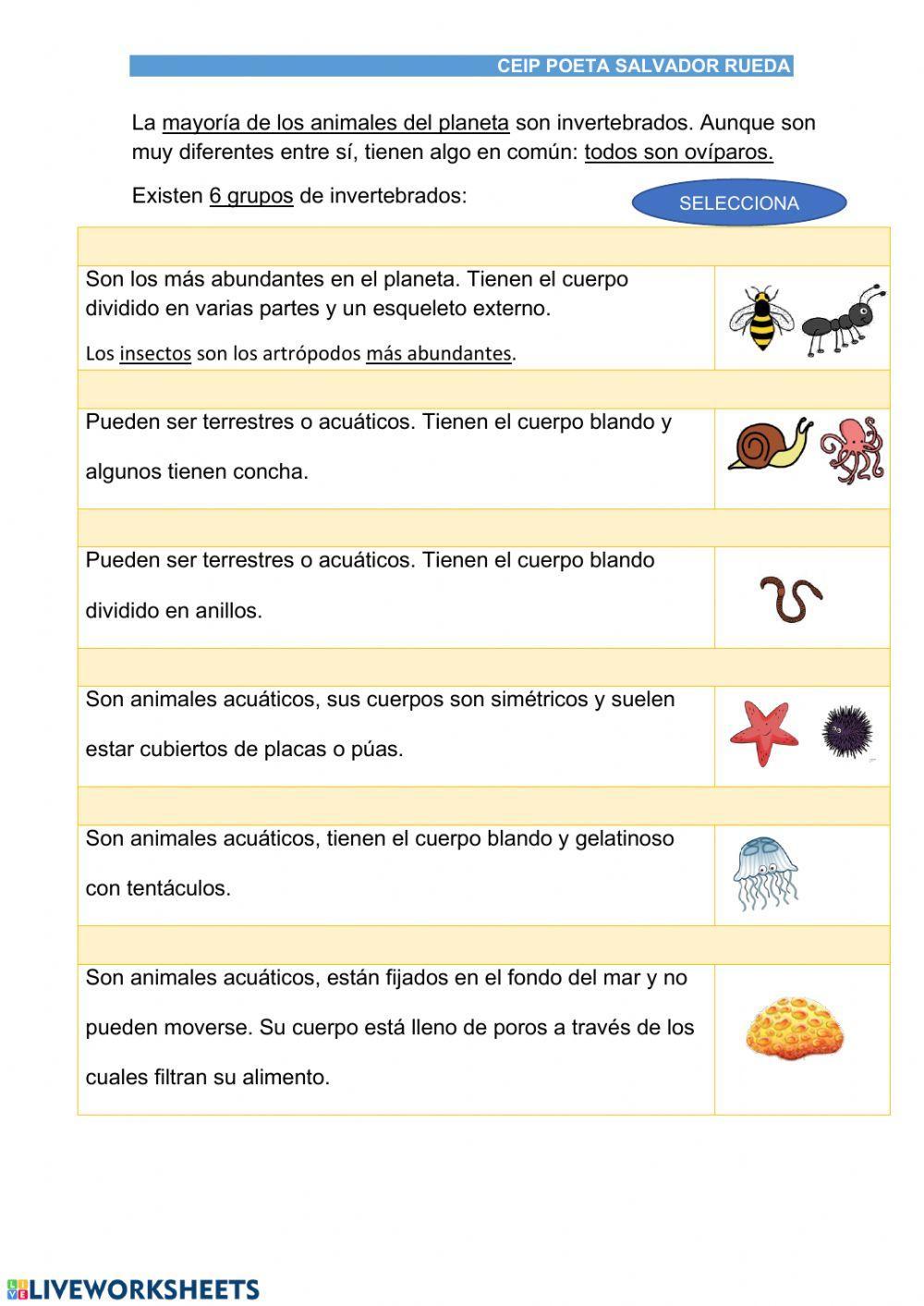 Resumen animales tercero