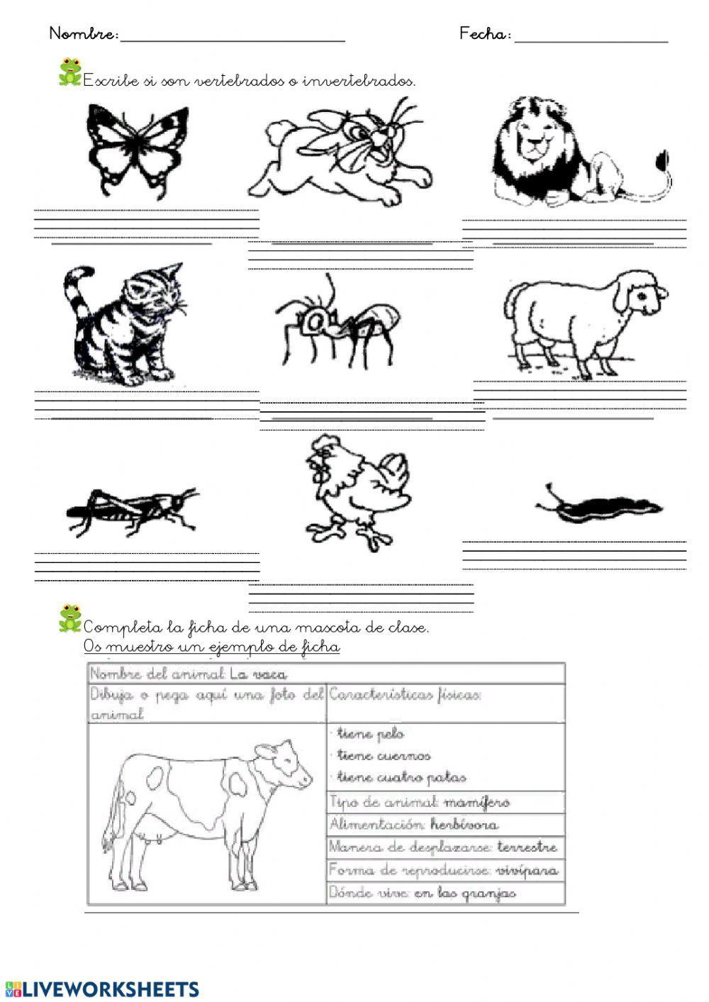 Hoja 7: Animales invertebrados 4-5
