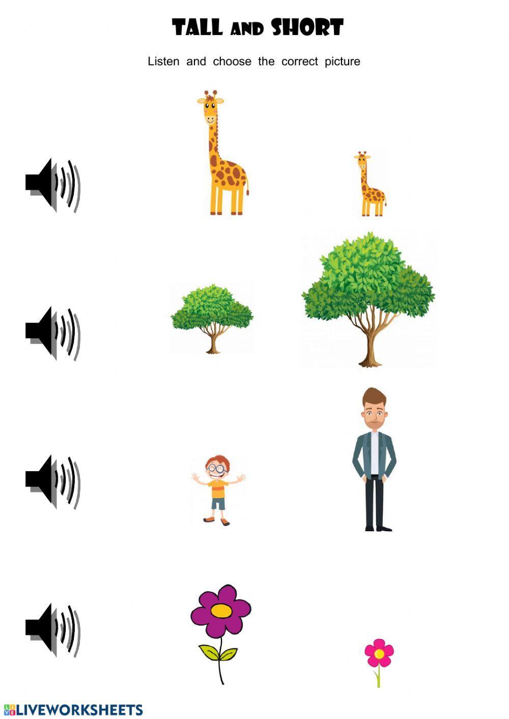 Tall and Short interactive worksheet