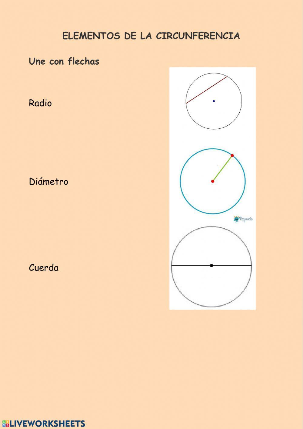 Elementos de una circunferencia
