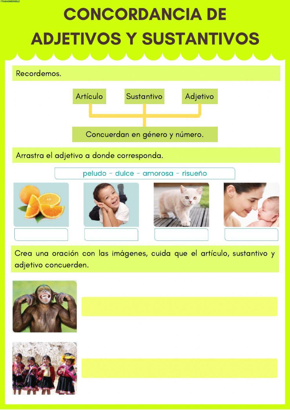 Concordancia de sustantivos y adjetivos