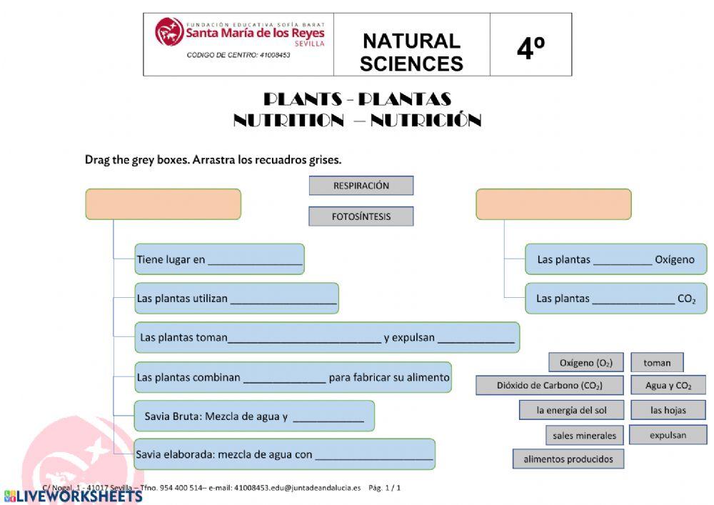 Plantas nutrición