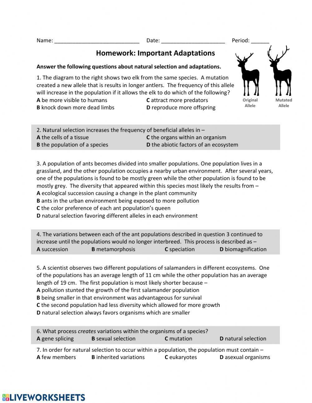 Important Adaptations