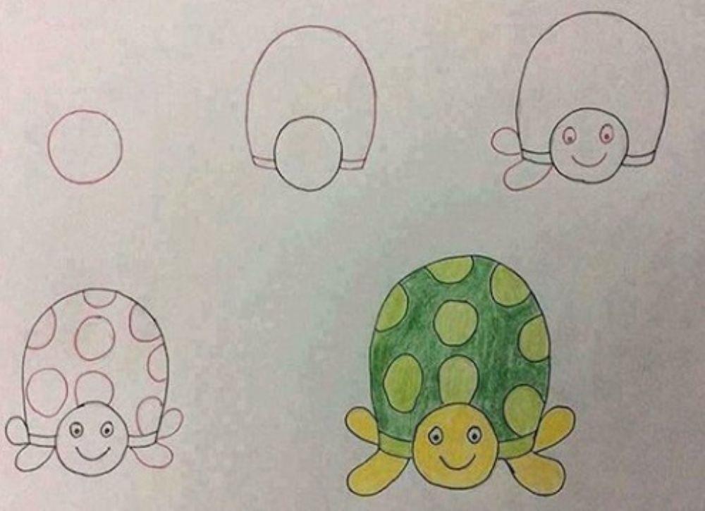 Pasos para dibujar una tortuga