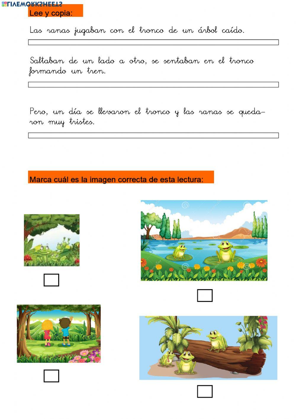 Lectura Comprensiva 1º primaria