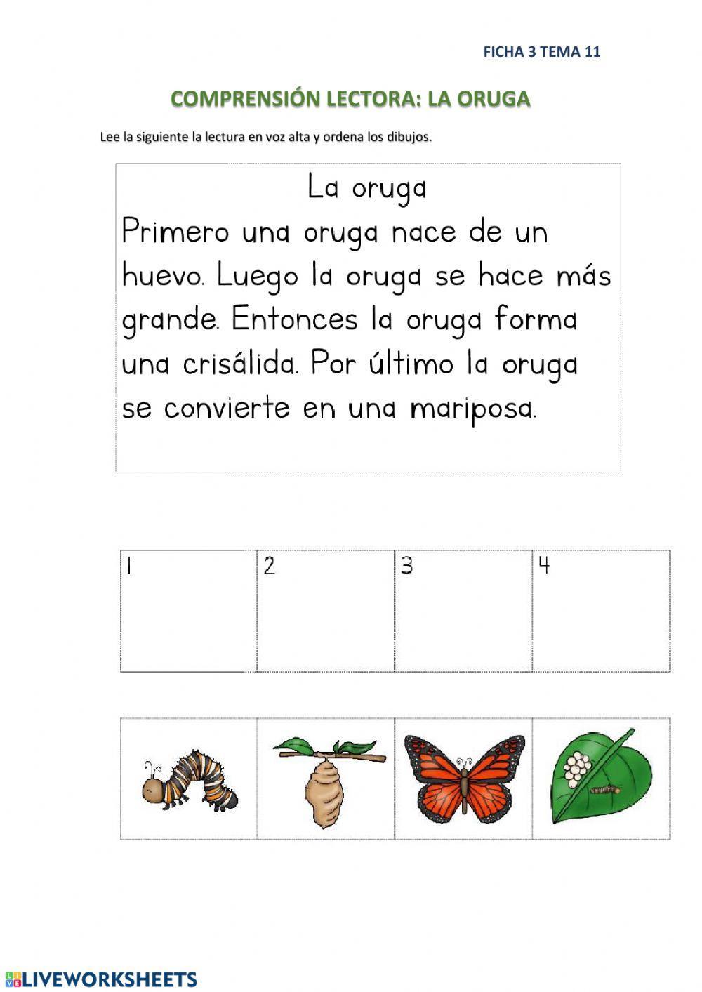Comprensión lectora: La oruga