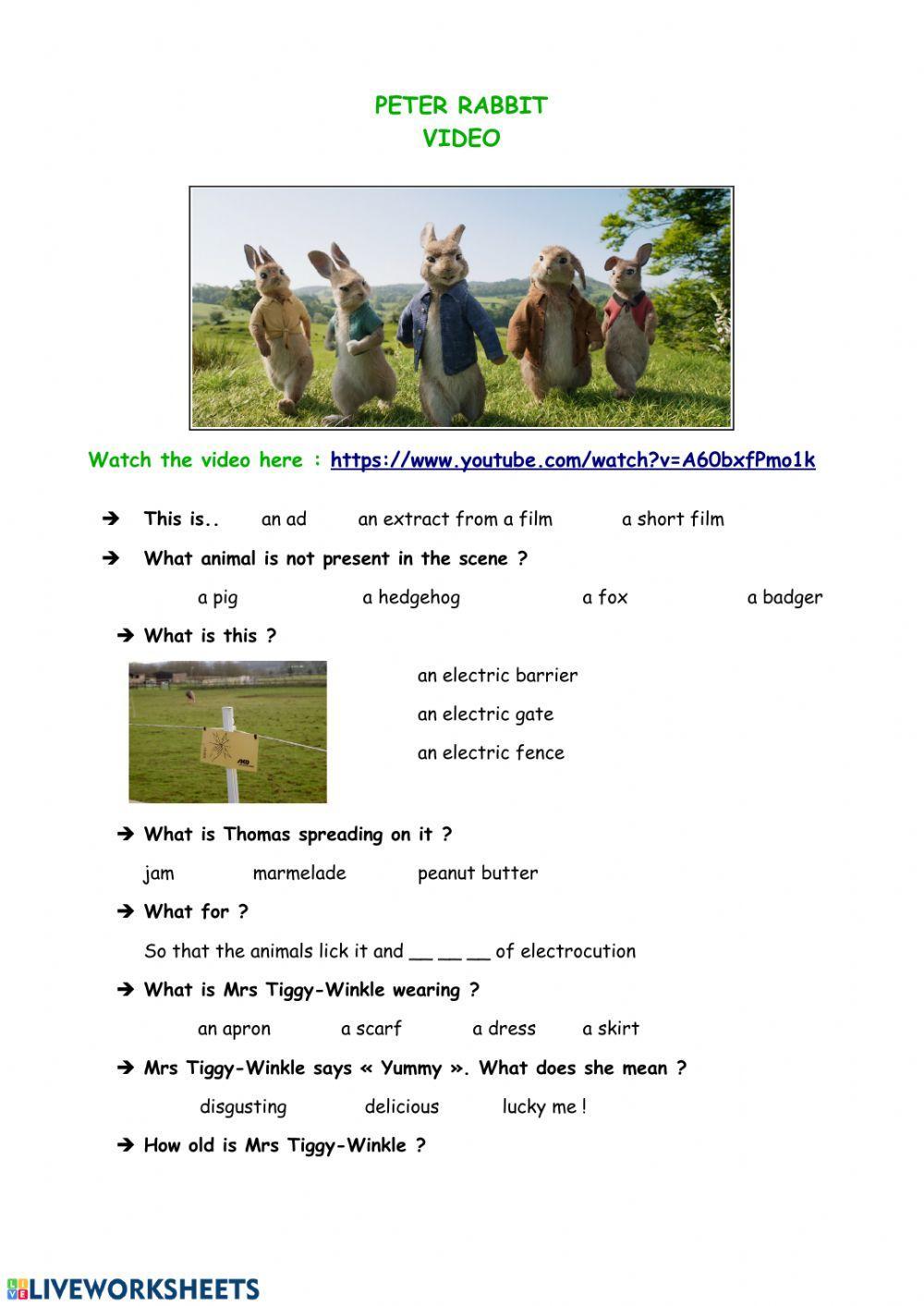 Peter Rabbit worksheet | Live Worksheets