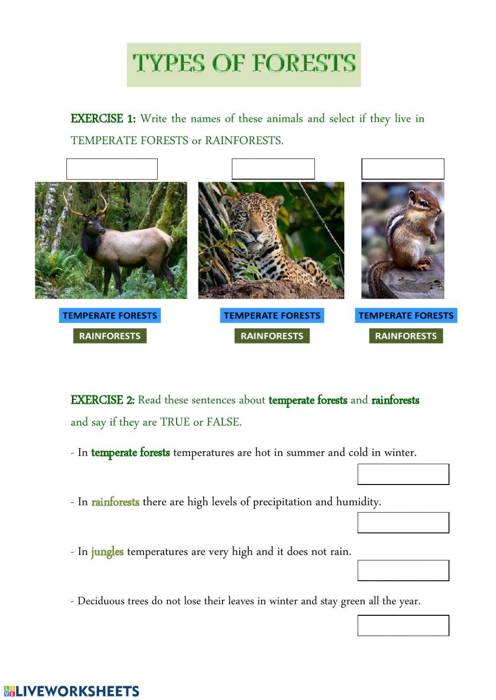 Types of forests