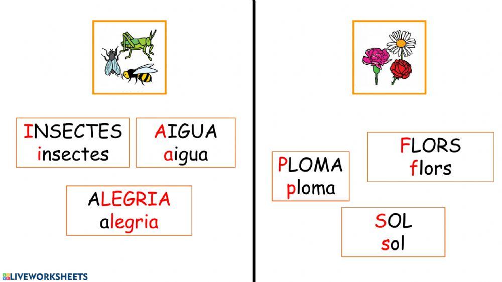 Lectura global primavera