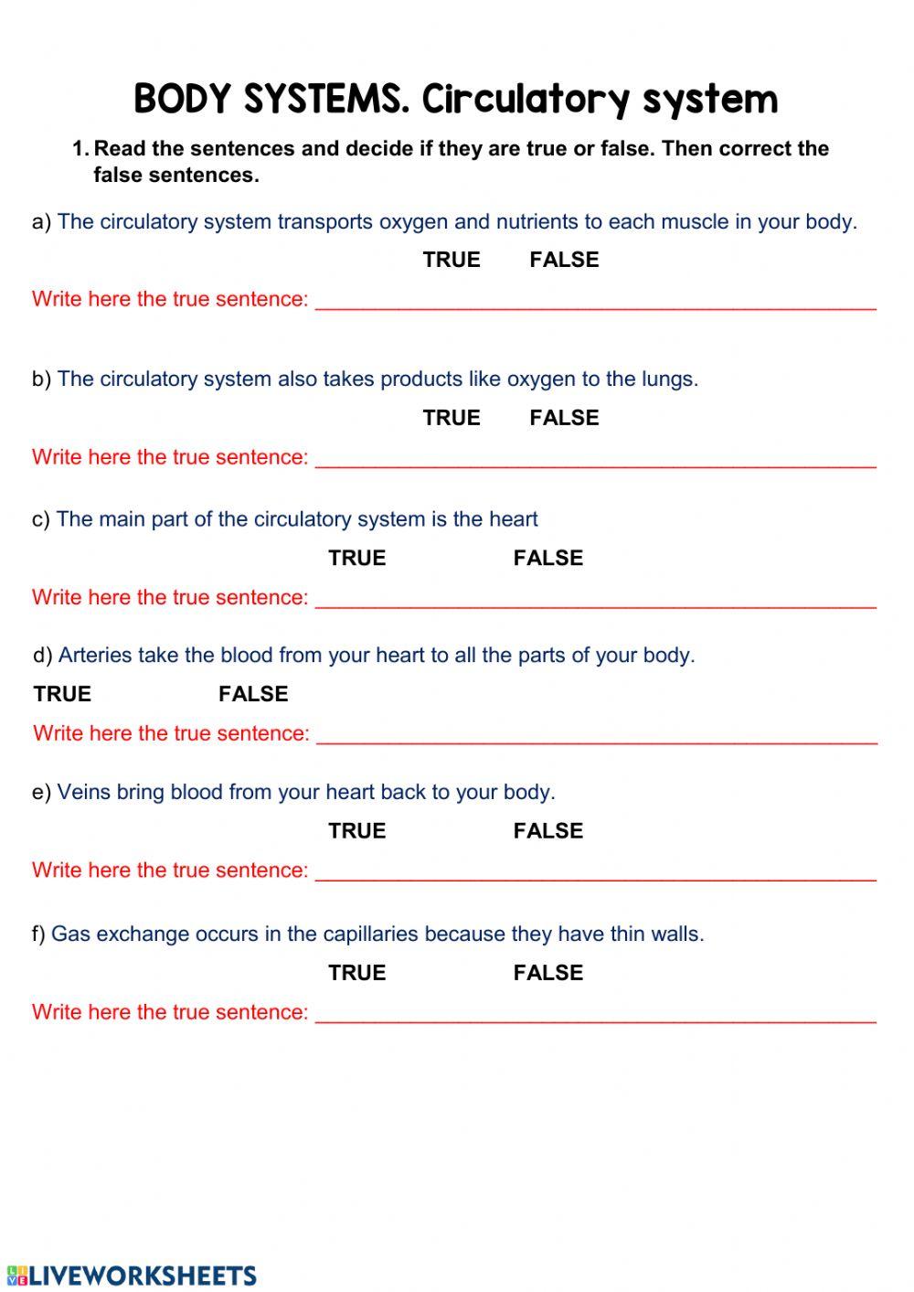 Circulatory System Online Worksheet Live Worksheets Circulatory System Online Worksheet Live Worksheets