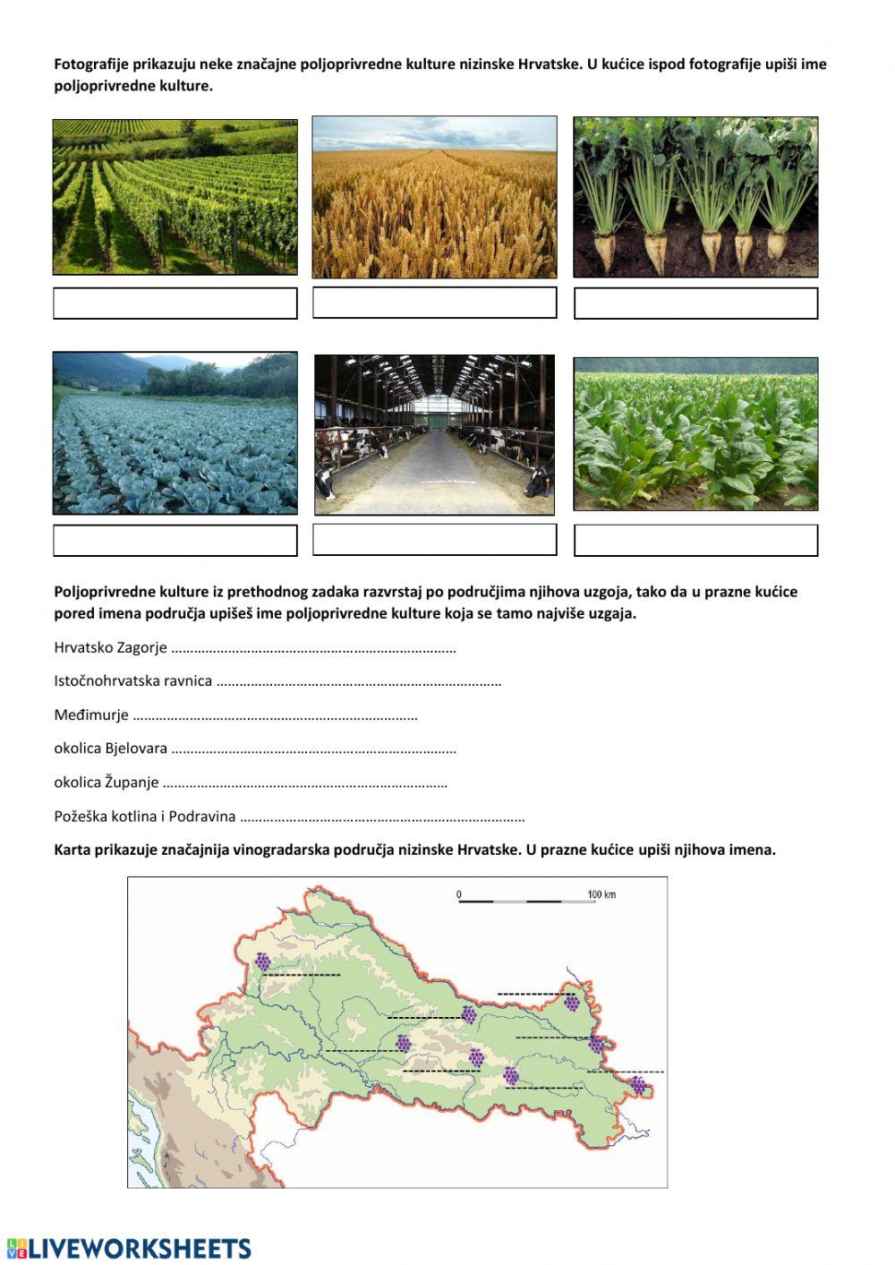 Primarne djelatnosti nizinske Hrvatske