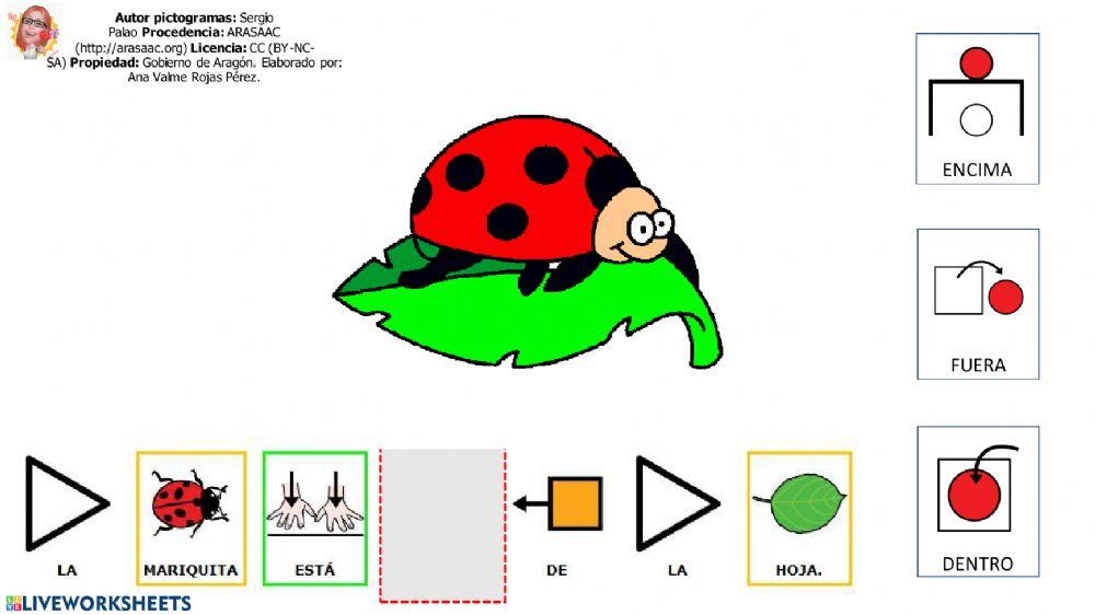 Conceptos básicos Conceptos básicos