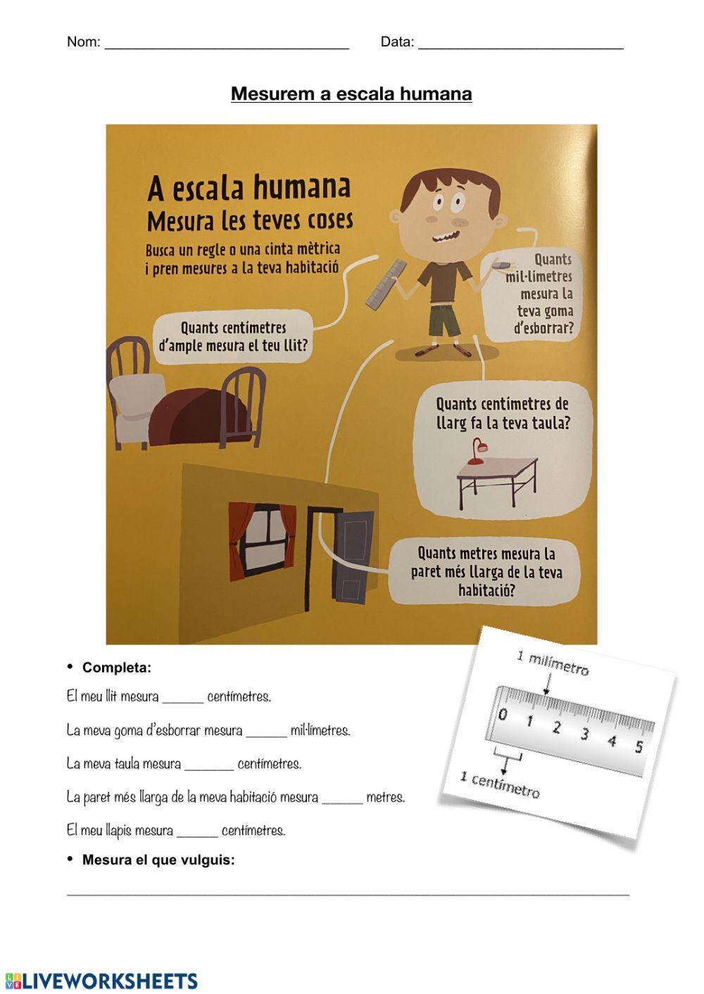 Mesurem a escala humana