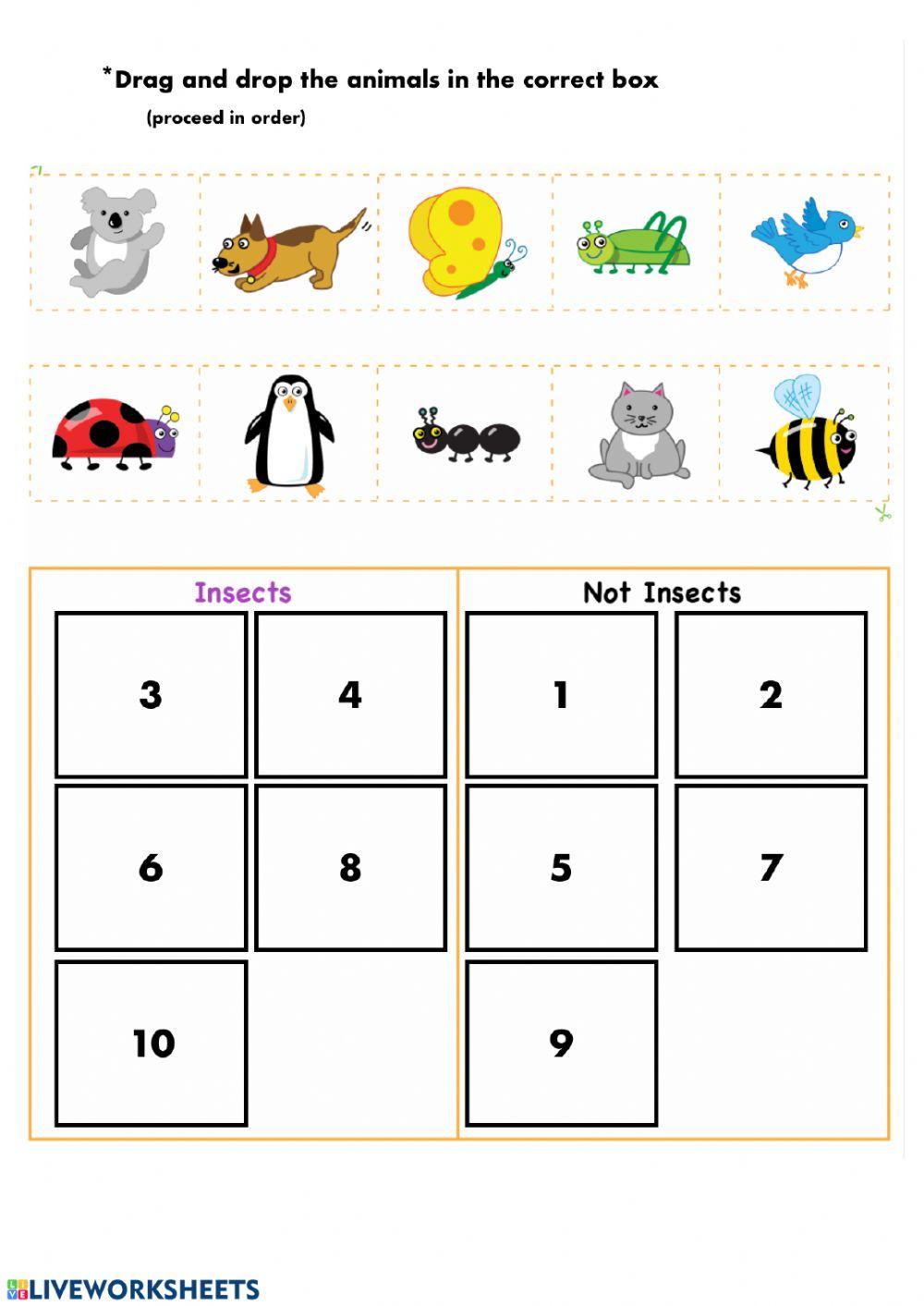 Insects and not insects- categories Insects and not insects- categories