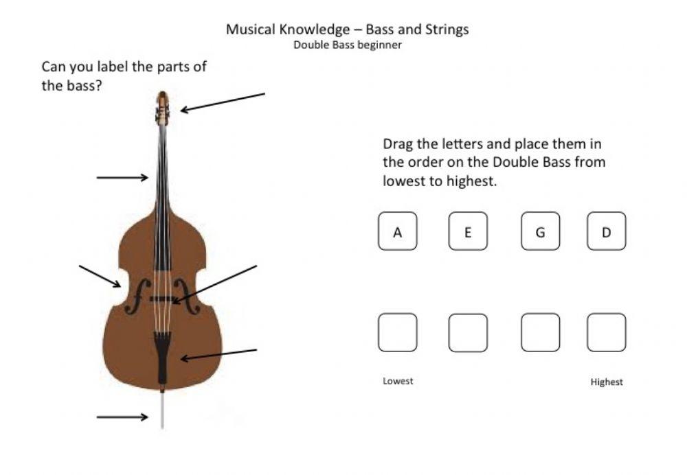 Musical Knowledge Beginner Double Bass parts of the bass worksheet