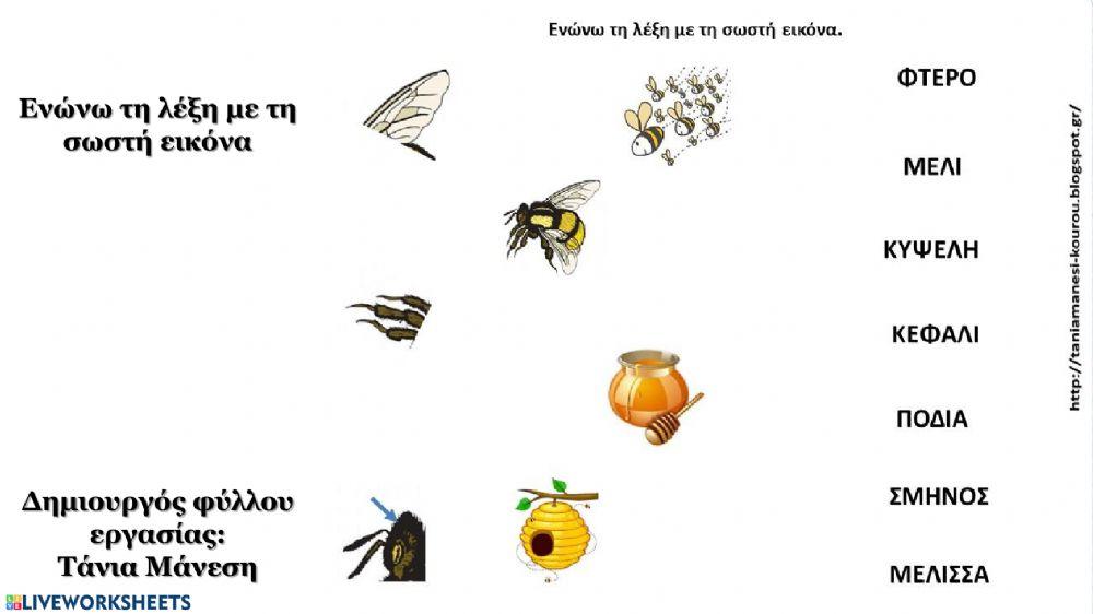 Μέλισσα - φύλλα εργασίας