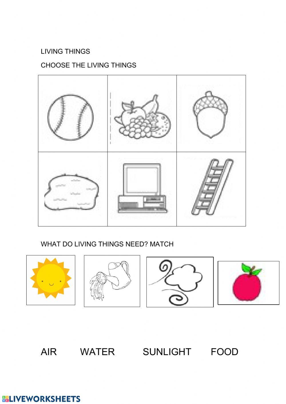 Living or non living