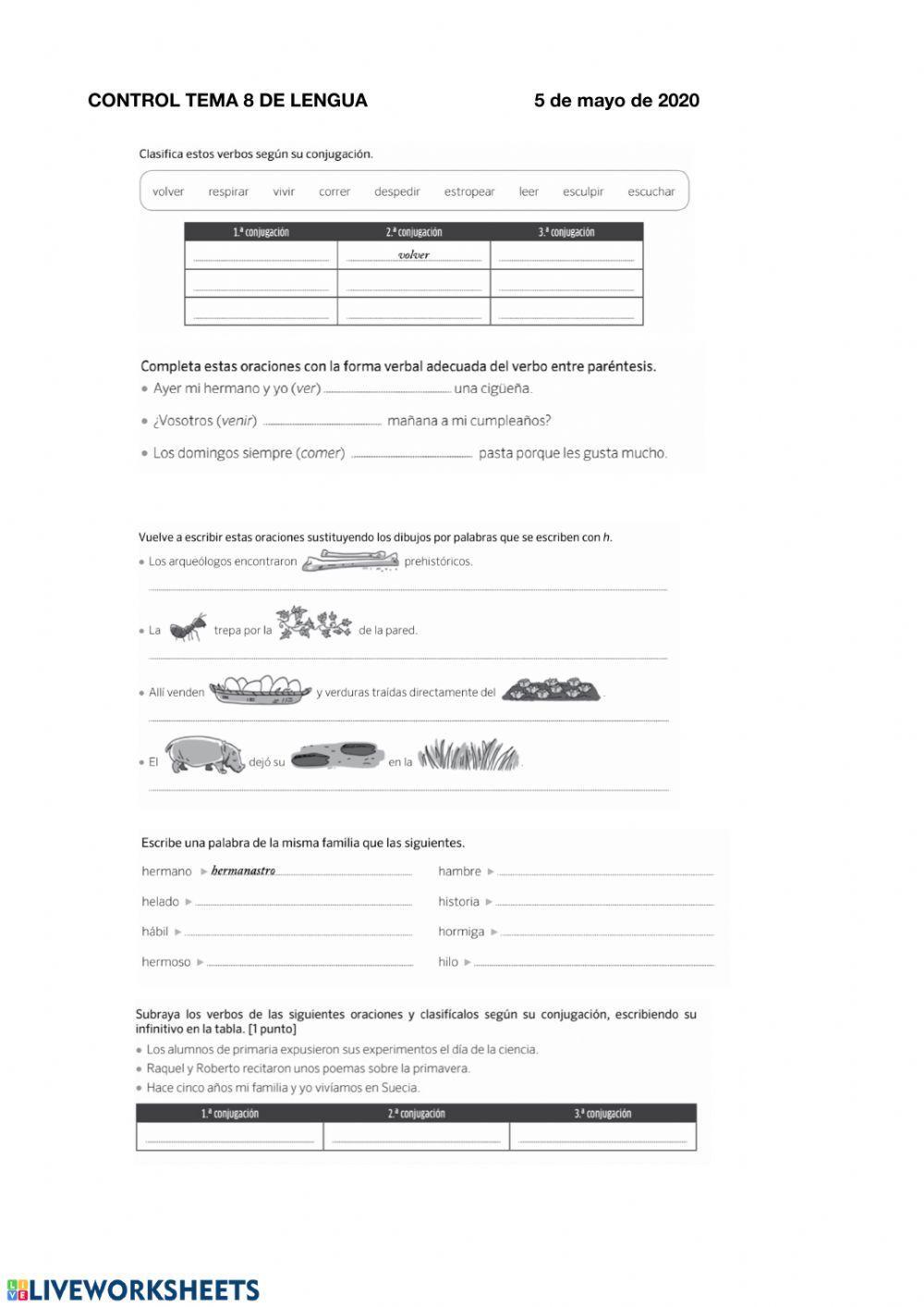 Conjugaciones verbales, familia de palabras