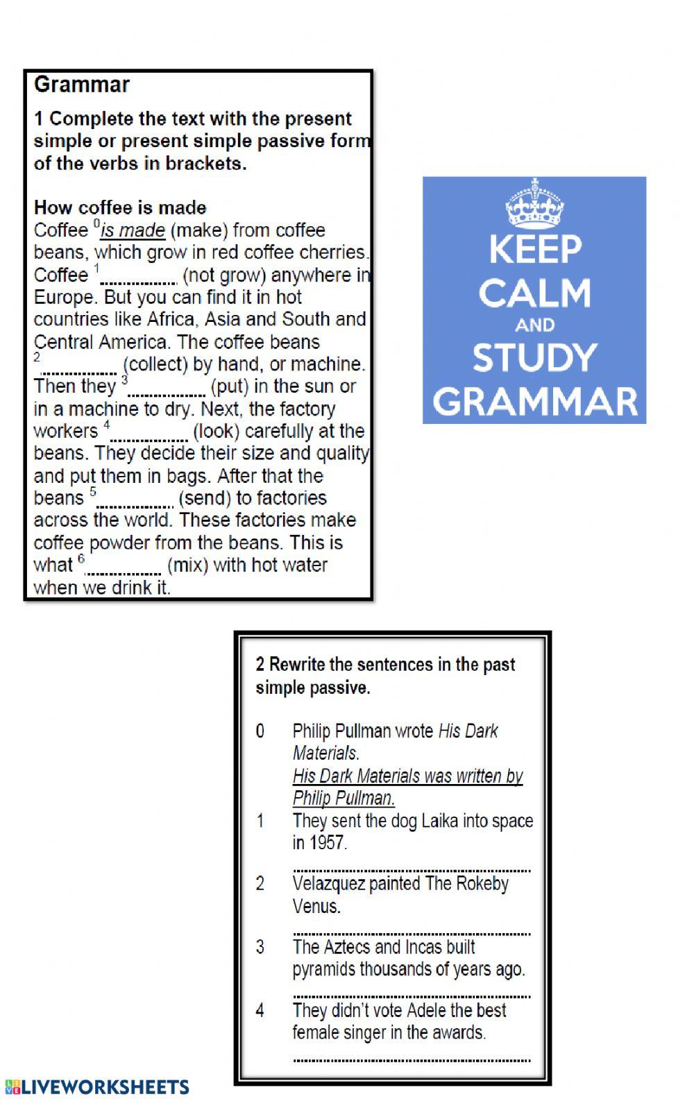 Junior 5 Unit 5 test