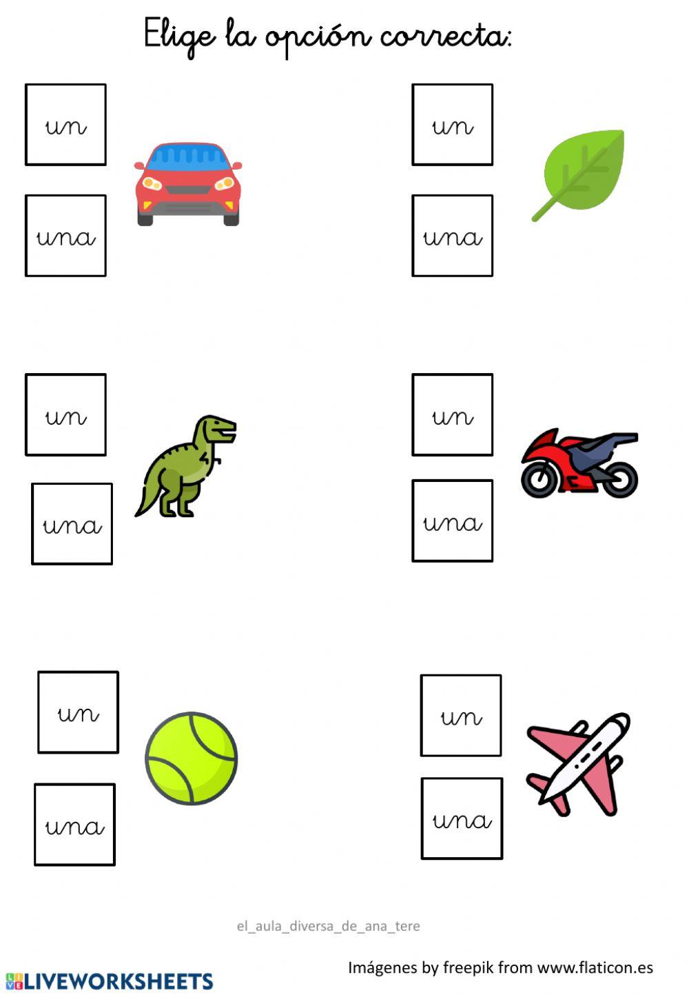 Concordancia rtículo-nombre