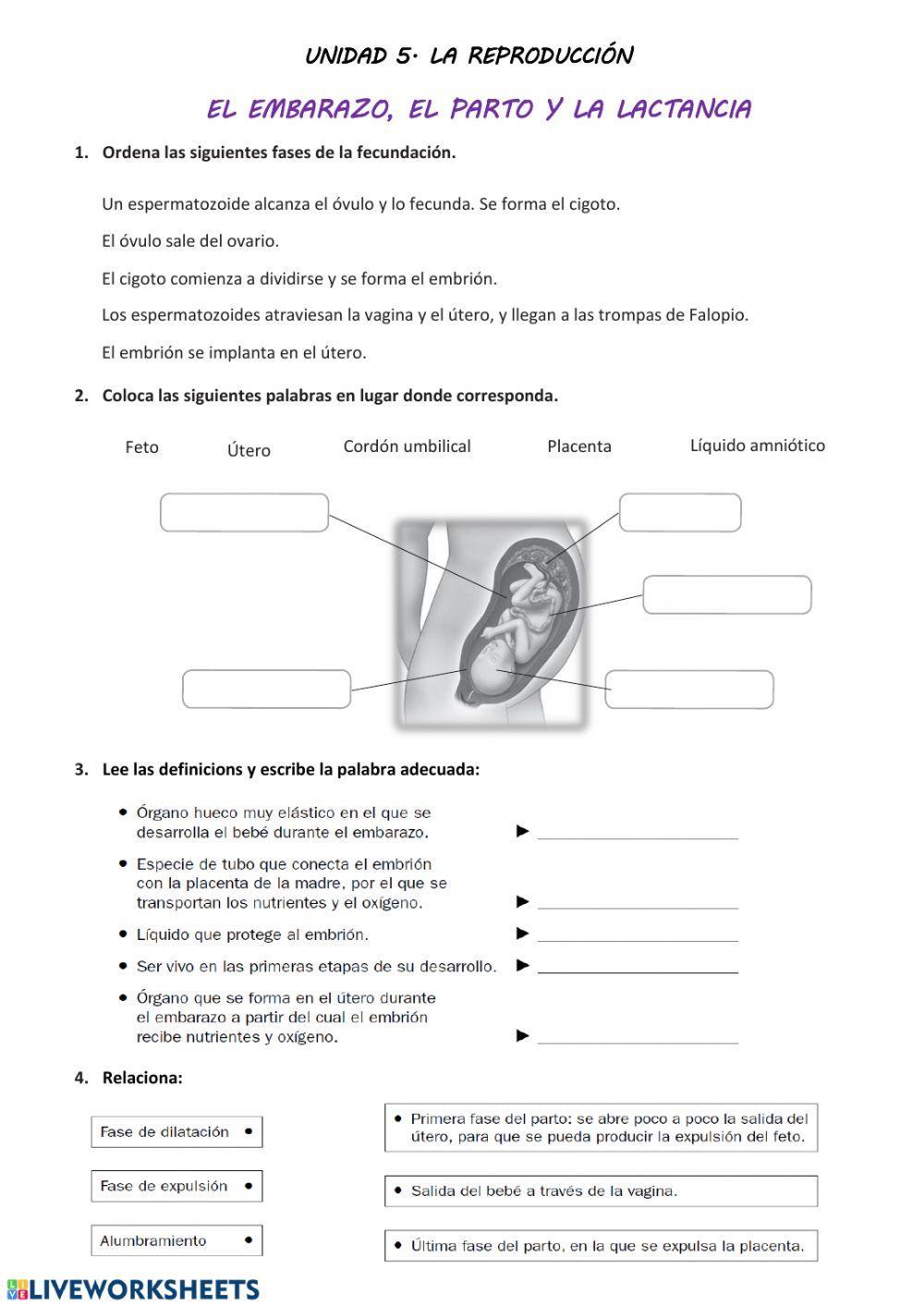 La reproducción. Embarazo y parto