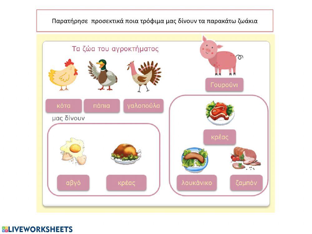 Τα ζώα και τα προϊόντα τους 