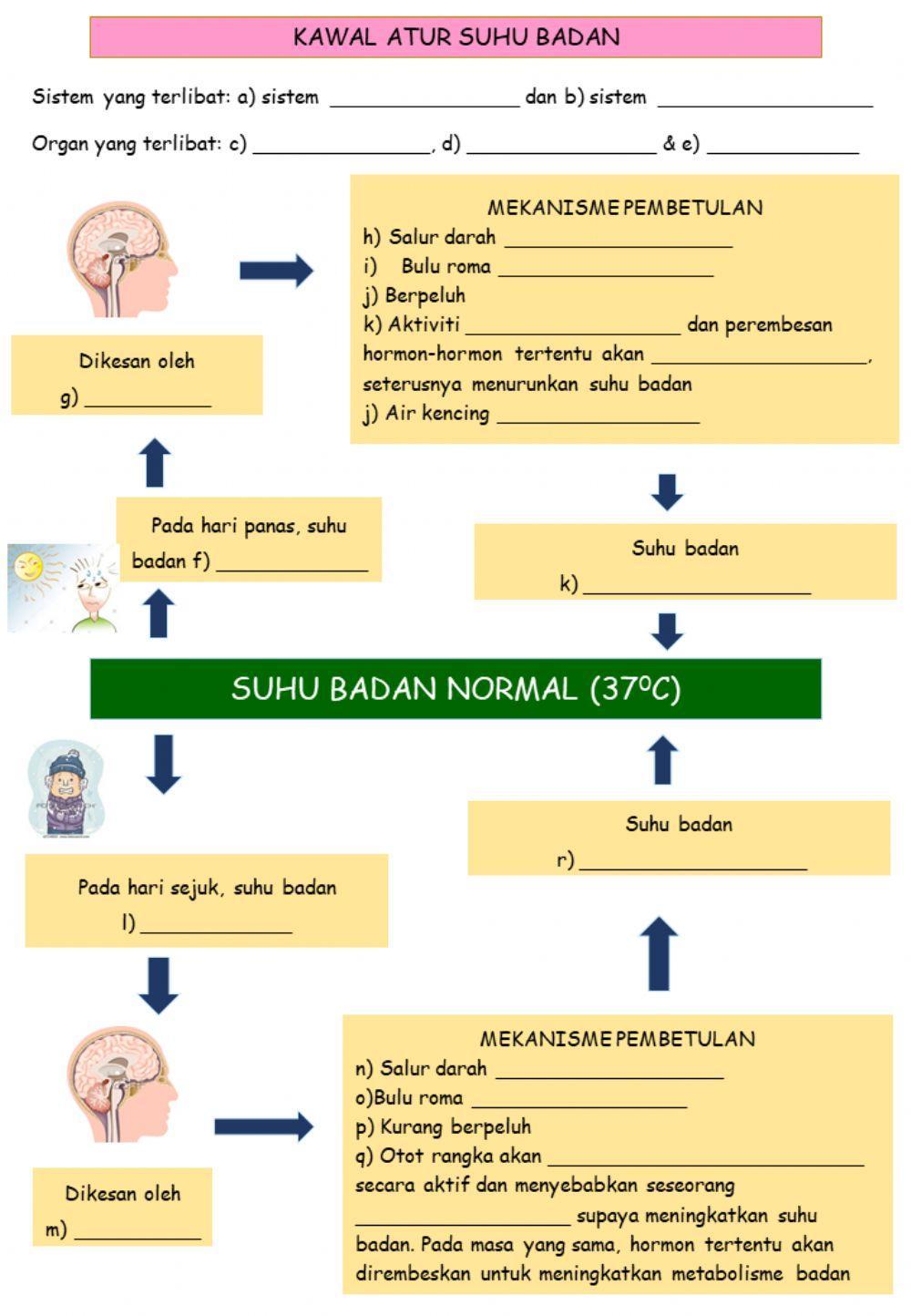 Kawal atur suhu badan
