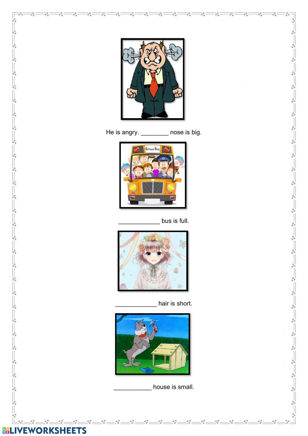 Possessive Adjectives