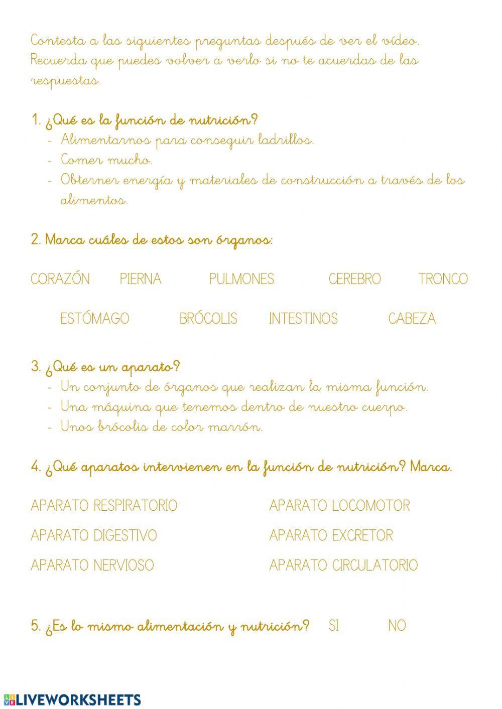 La función de nutrición