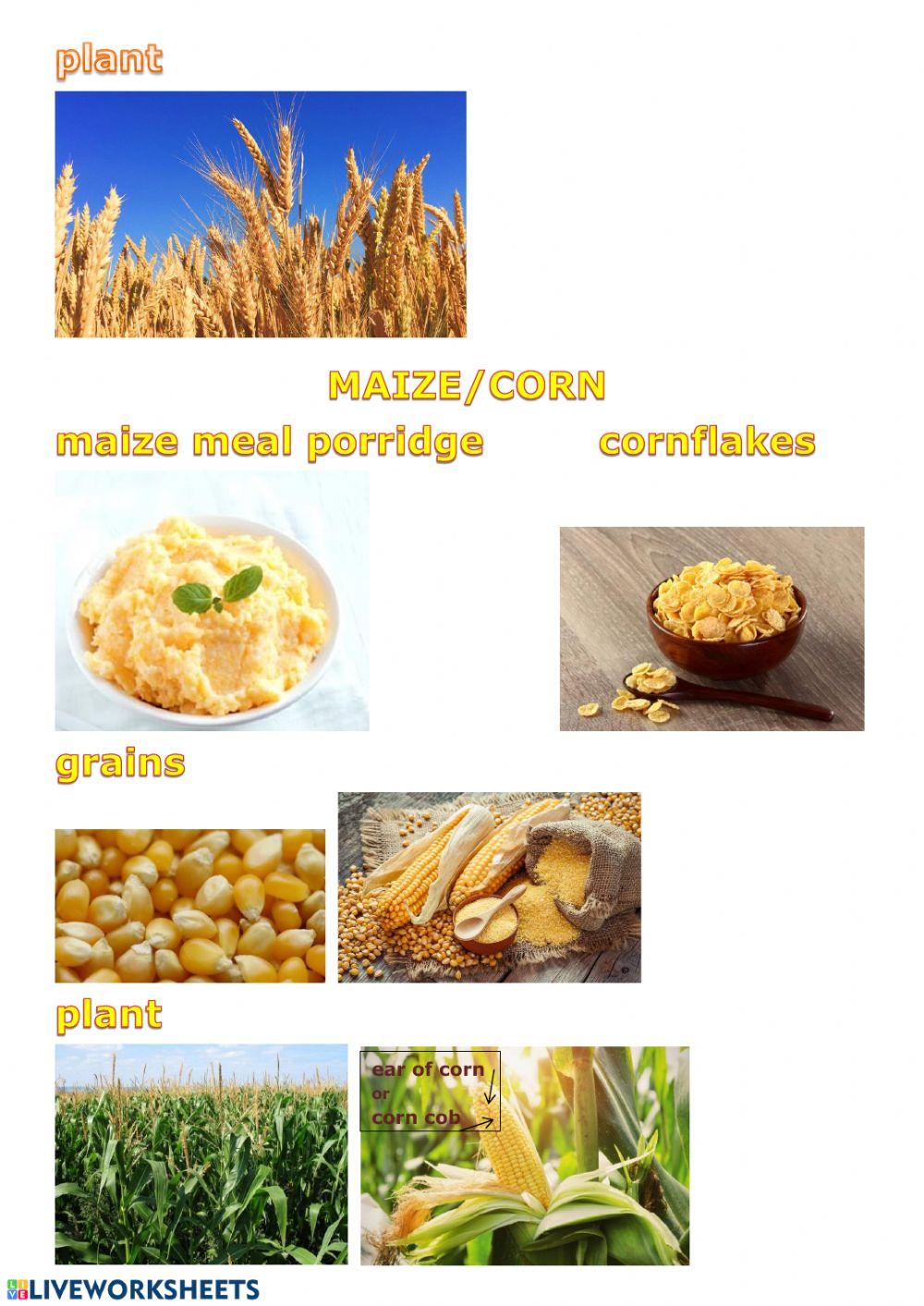 Do you know what porridge it is?