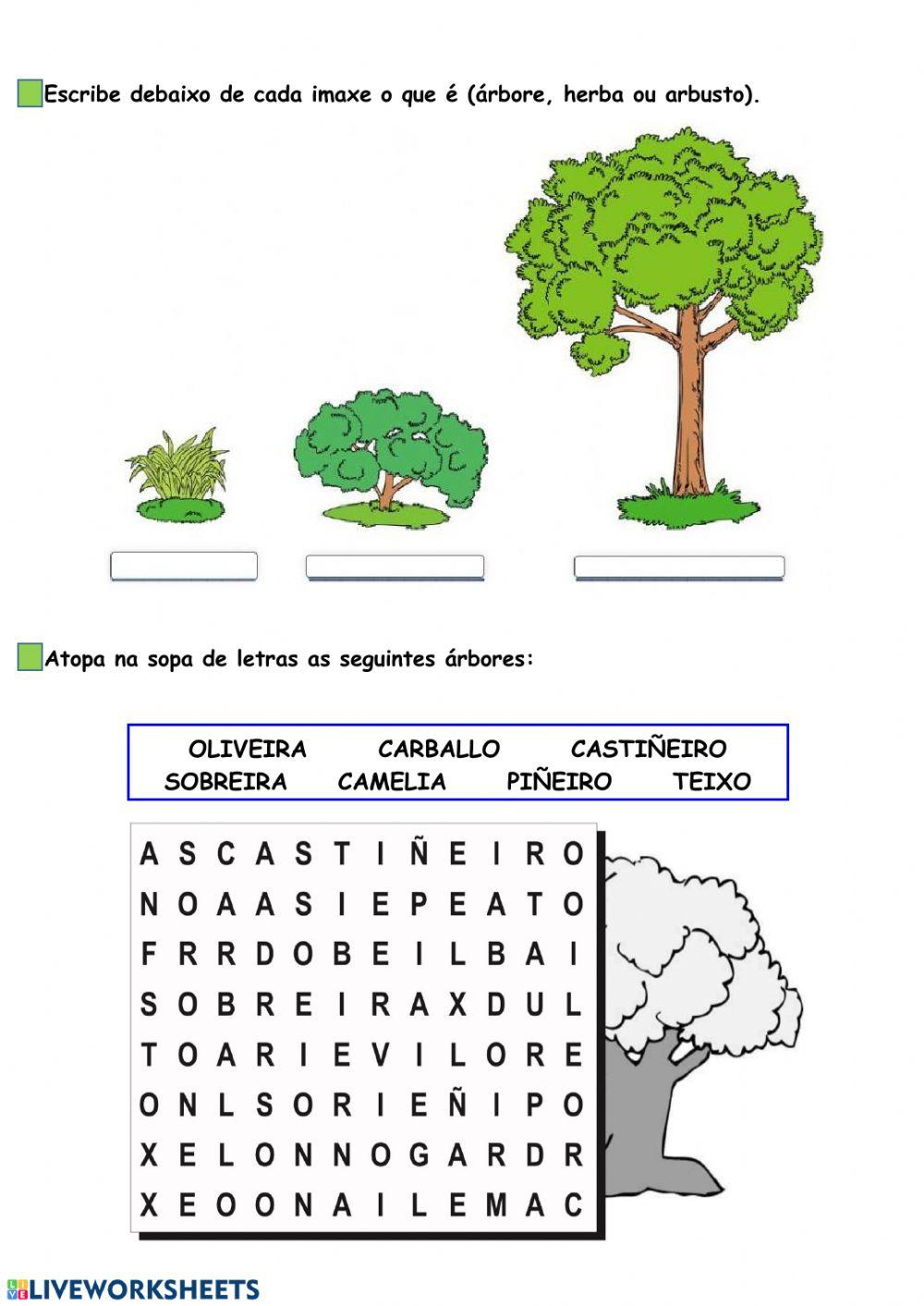 As árbores As árbores