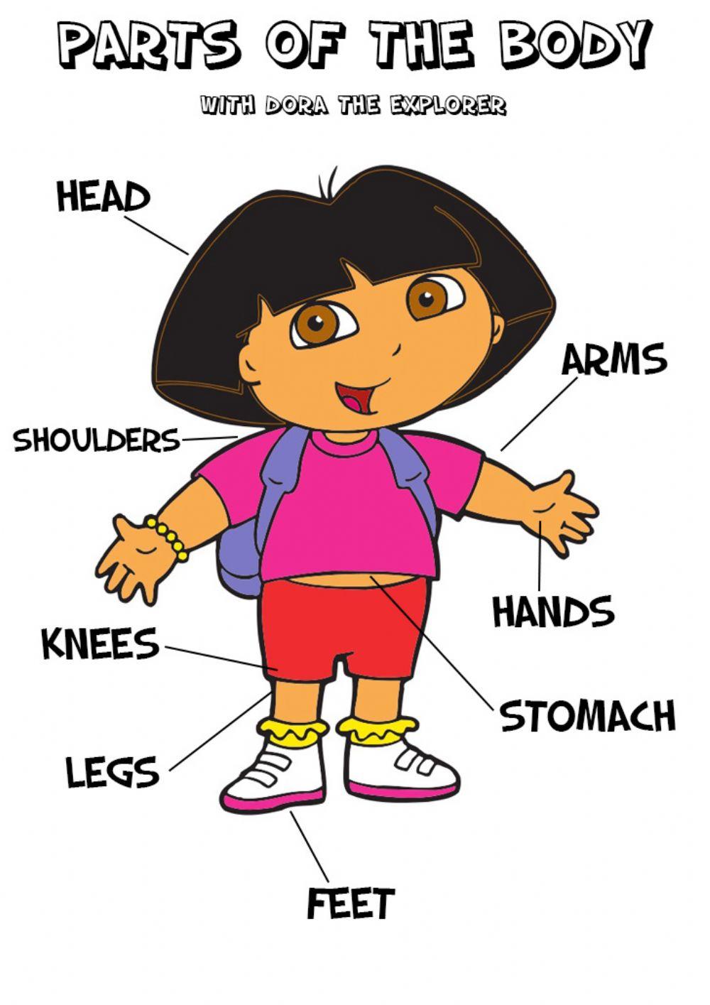 Parts of the Body - Dora the explorer