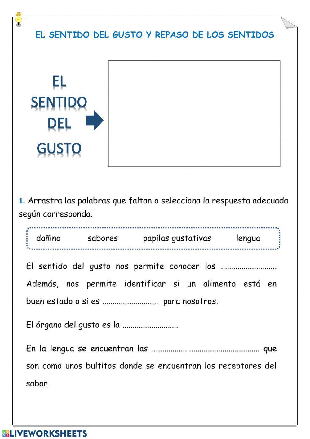 El gusto y los sentidos