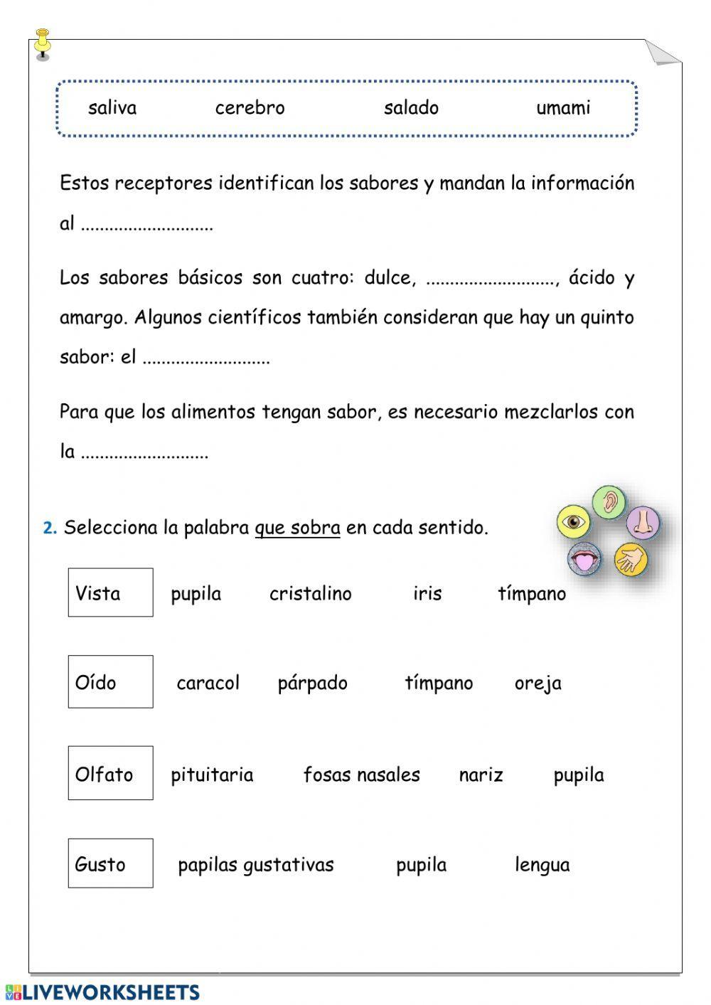 El gusto y los sentidos