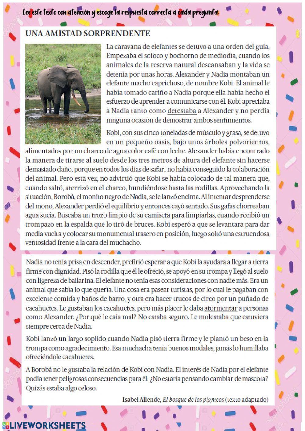 COMPRENSIÓN LECTORA CASTELLANO COMPRENSIÓN LECTORA CASTELLANO