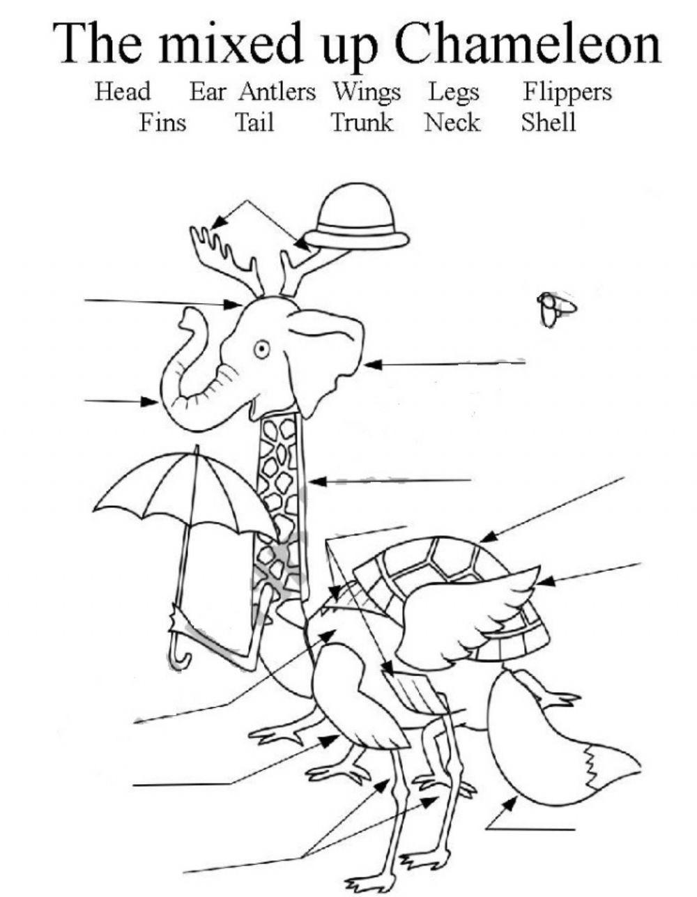 Mixed Up Chameleon Coloring Page