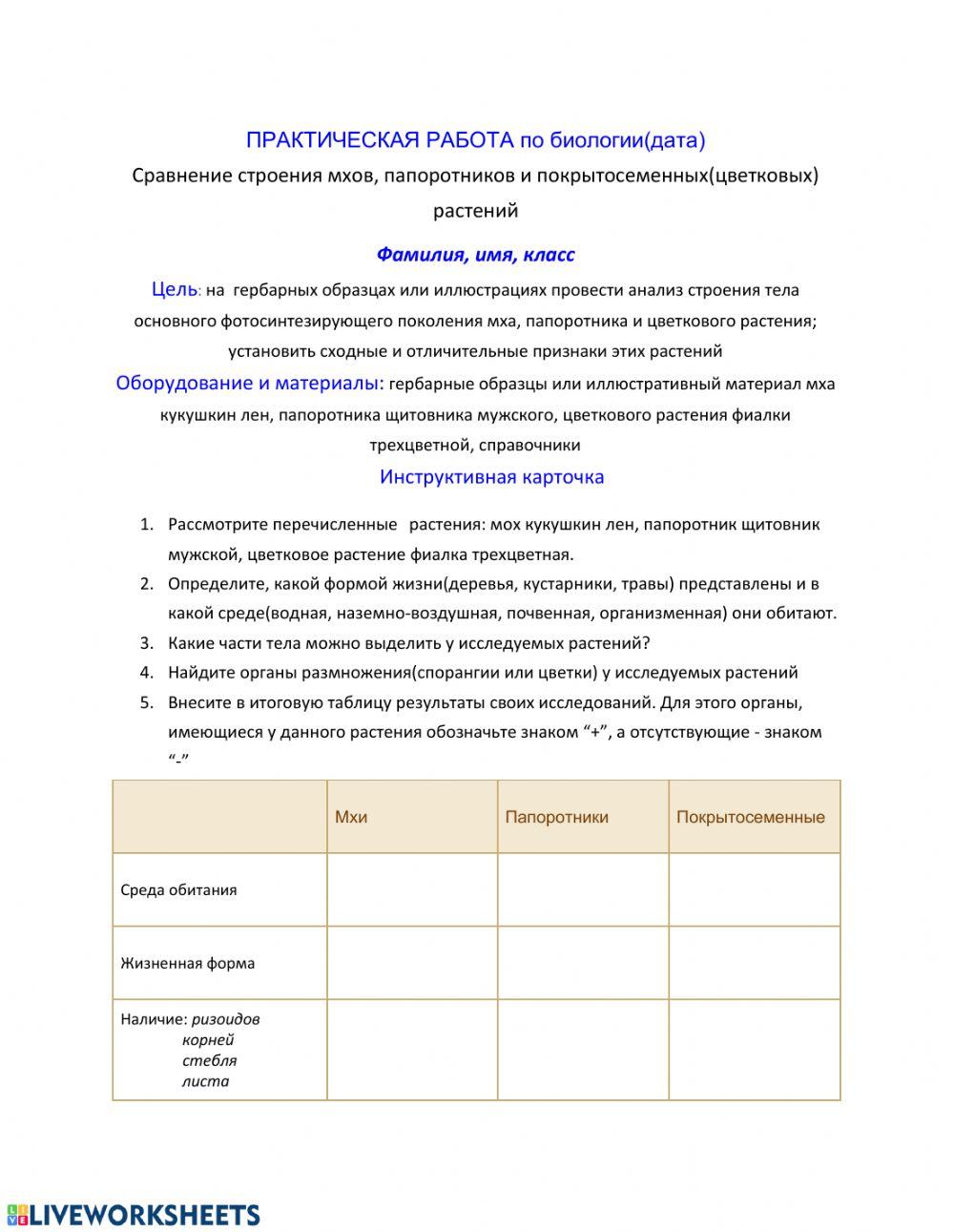 Практическая работа Сравнение строения мхов, папоротников, покрытосеменных