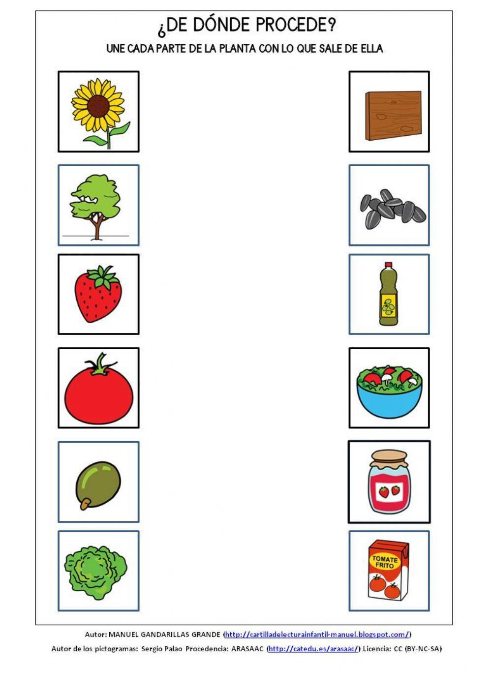 ¿de dónde procede?