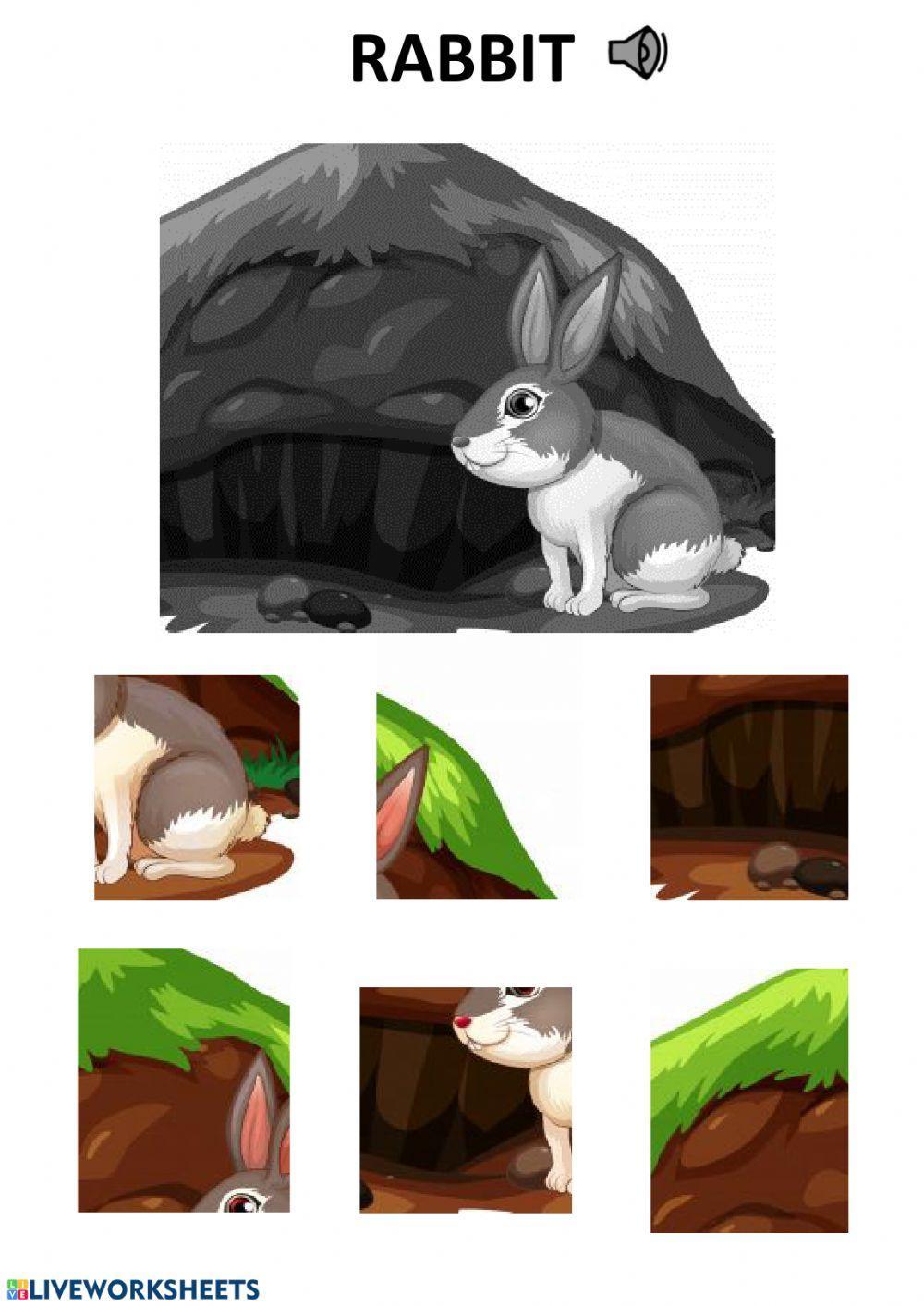 Rabbit puzzle