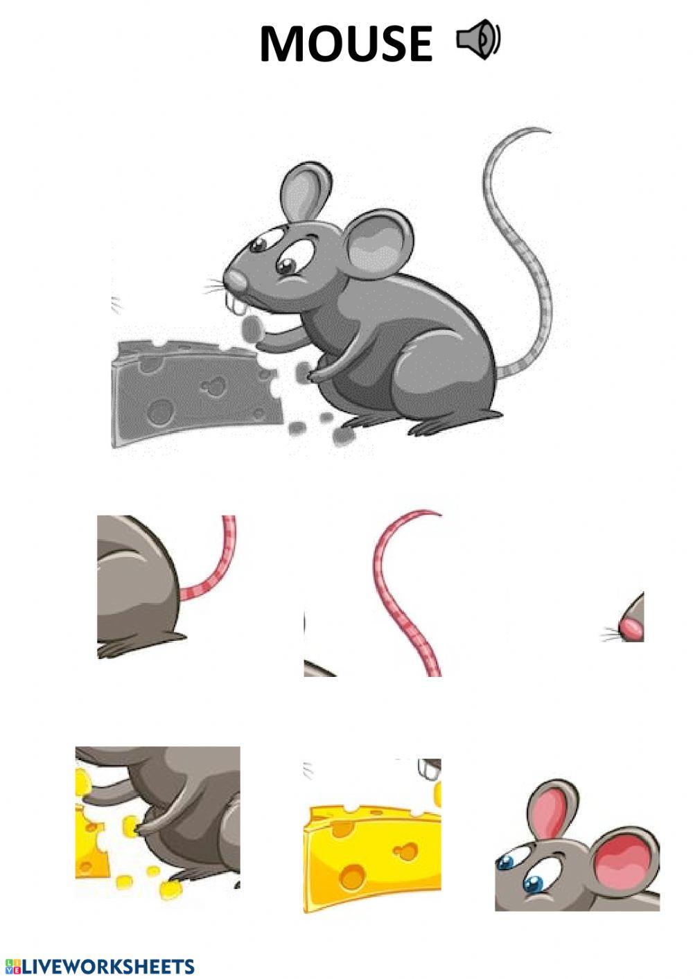 Mouse puzzle