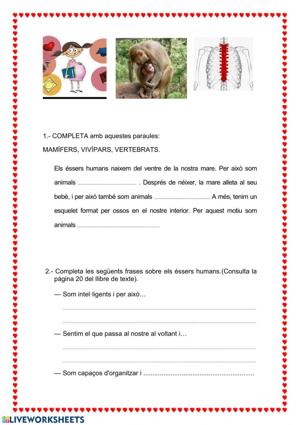 Intel.ligència i sentiments