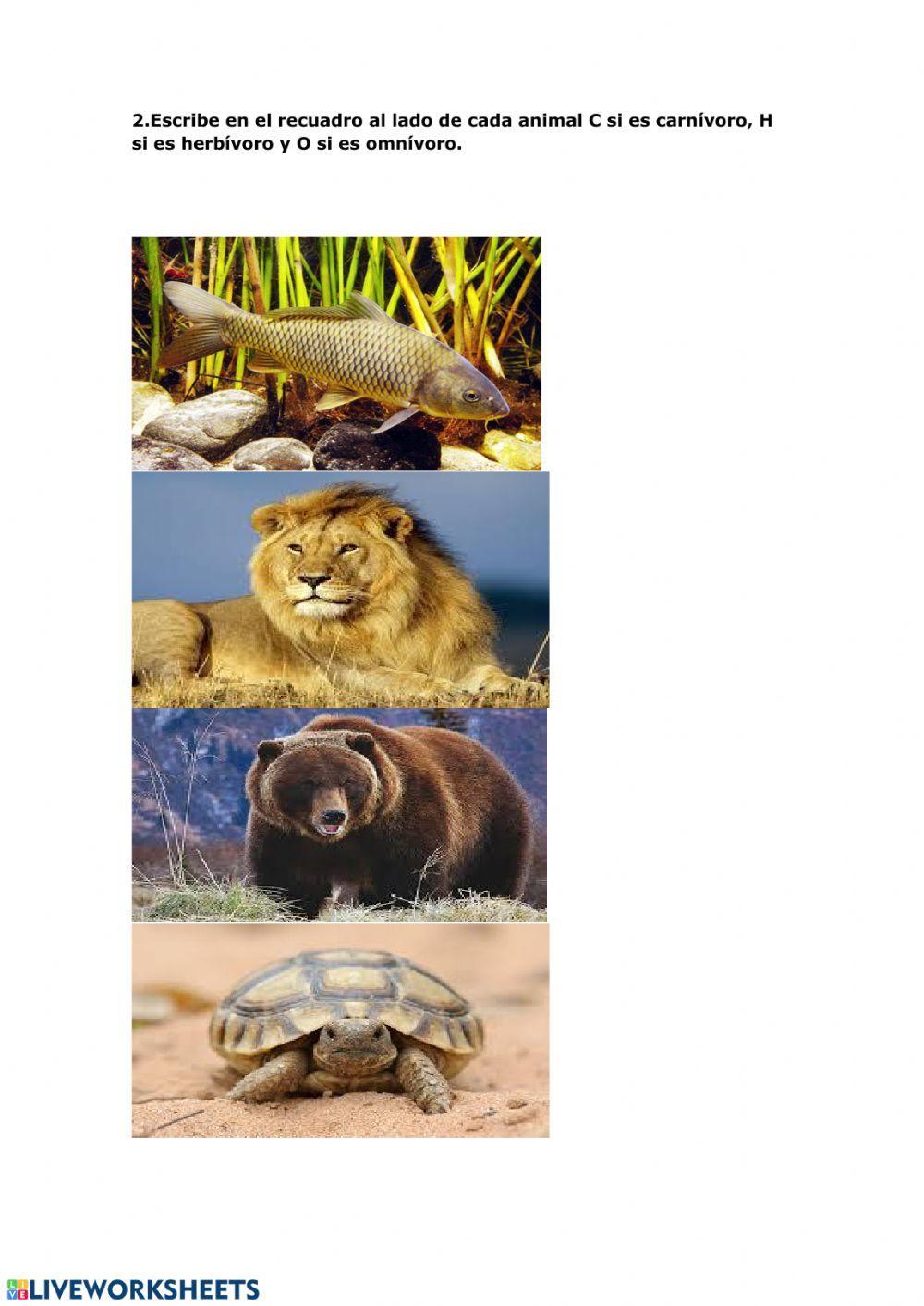 Animales según su alimentación.