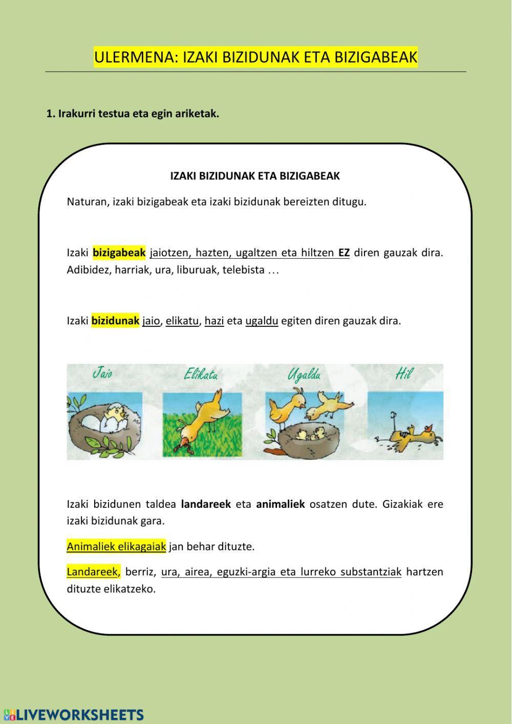 Izaki bizidunak eta bizigabeak ii