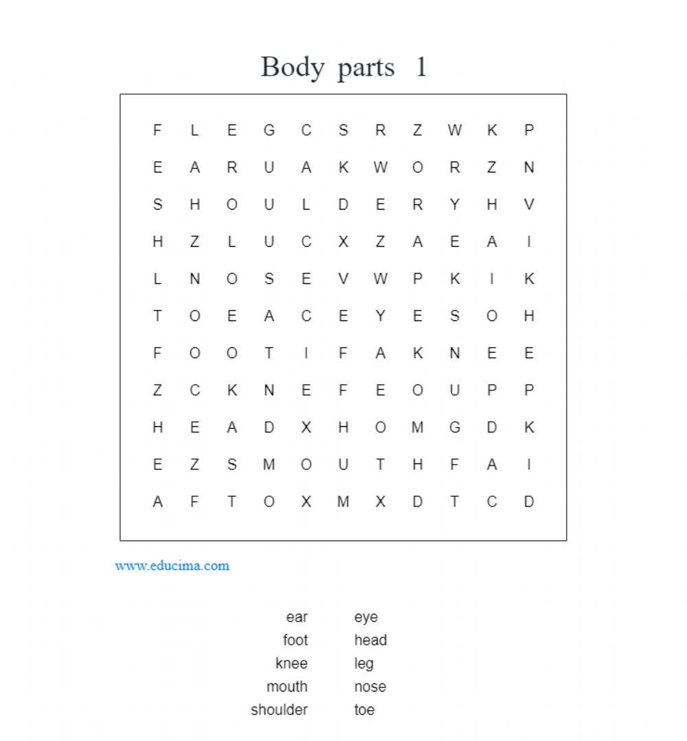 Body wordsearch 1