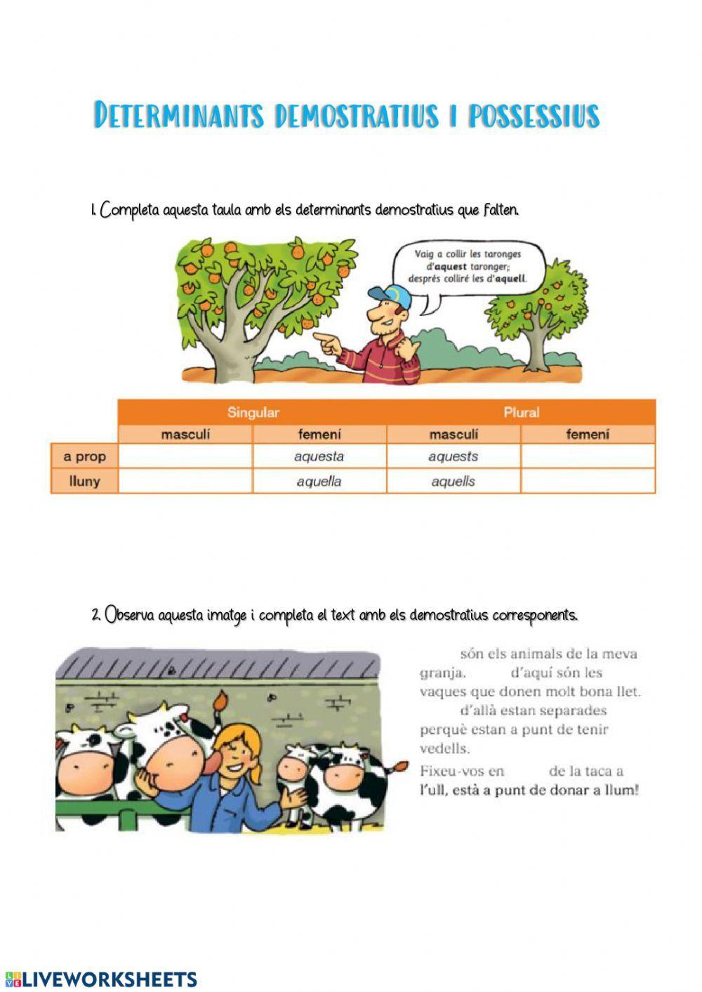 Demostratius i possessius