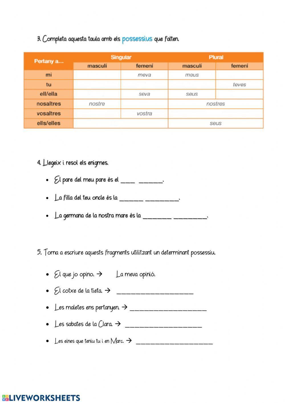 Demostratius i possessius