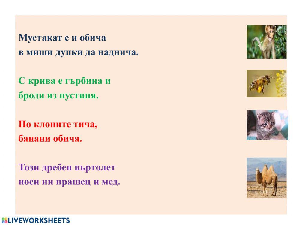 5588790 | ГАТАНКИ | Нели Лапчева | LiveWorksheets
