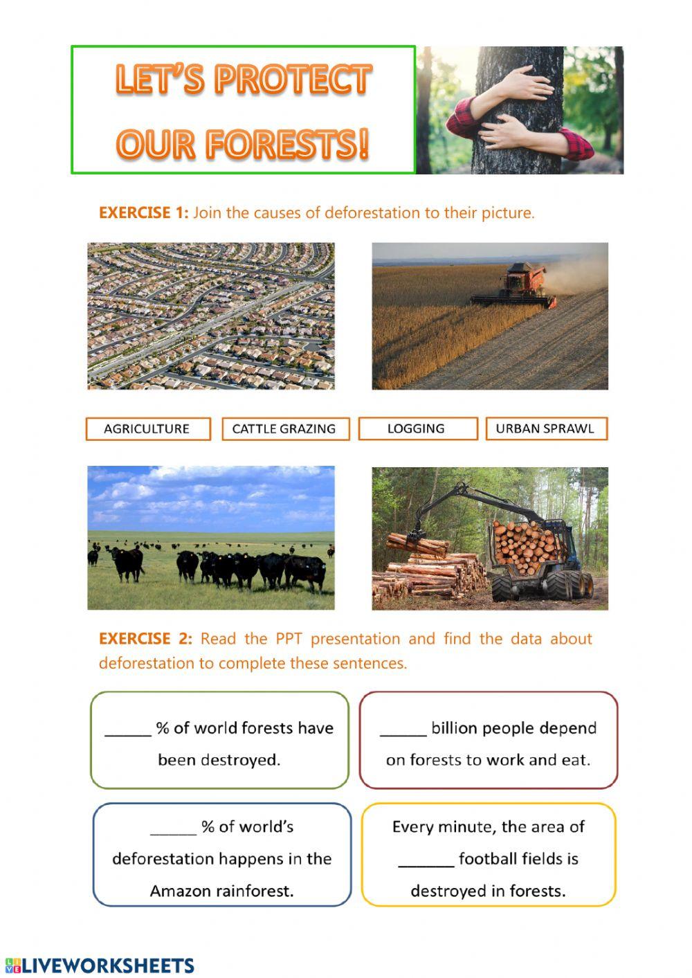 LET'S PROTECT OUR FORESTS!