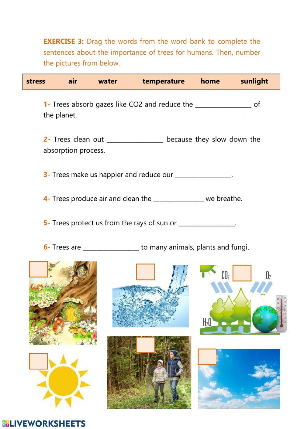 LET'S PROTECT OUR FORESTS!