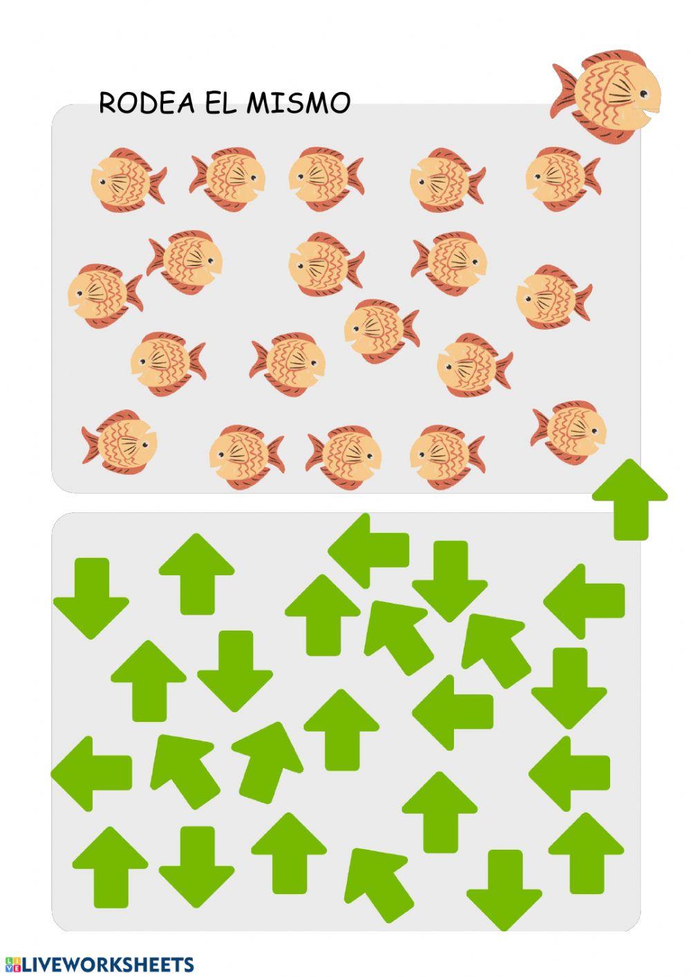 ENCUENTRA OBJETOS IGUALES